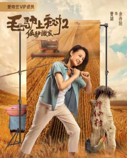 欧美精品免费在线观看